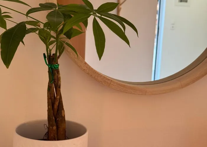 アパート Aktea Ii