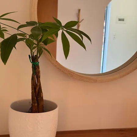 Apartman Aktea Ii