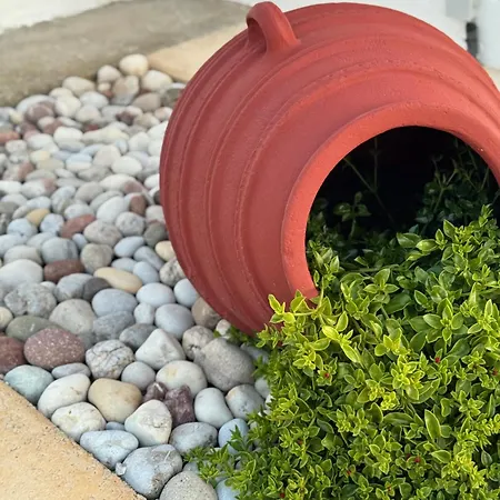 Aktea Ii * 克法洛斯